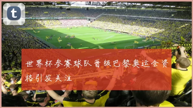 世界杯参赛球队晋级巴黎奥运会资格引发关注
